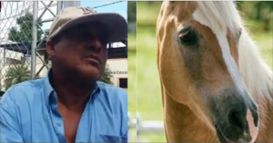 Vídeo: Apresan hombre por tener relación sexual con una Yegua en La Vega
