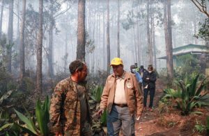 Medio Ambiente controla incendios en el Parque Nacional Sierra de Bahoruco