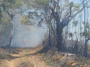 Fuego en vertedero Los Hidalgos afecta vegetación